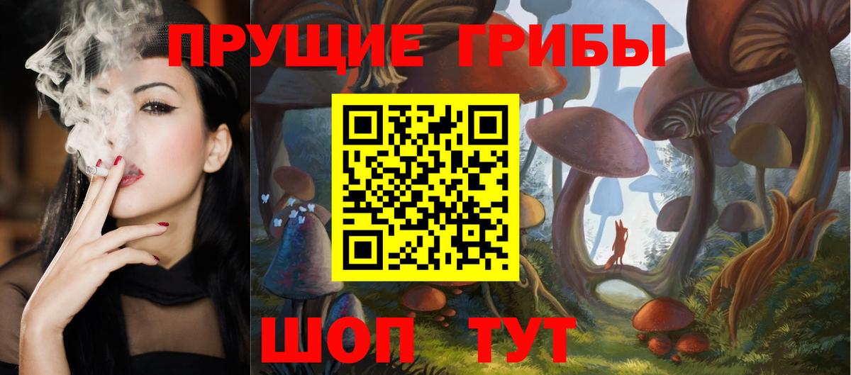 Псилоцибиновые грибы Cubensis Донецк