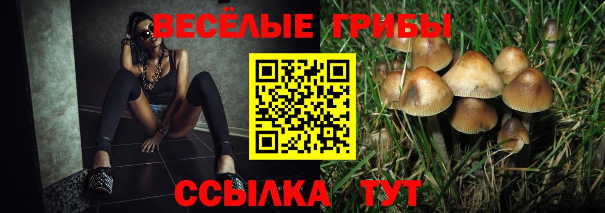 Псилоцибиновые грибы ЛСД  Вход с VPN  Донецк 